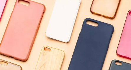 Case